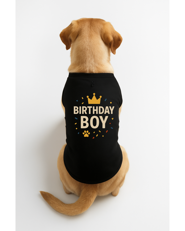 Birthday Boy β Dog Birthday T-Shirt with Crown ππΎ