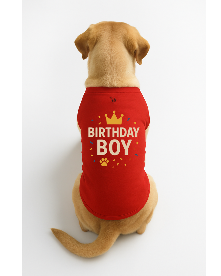 Birthday Boy β Dog Birthday T-Shirt with Crown ππΎ