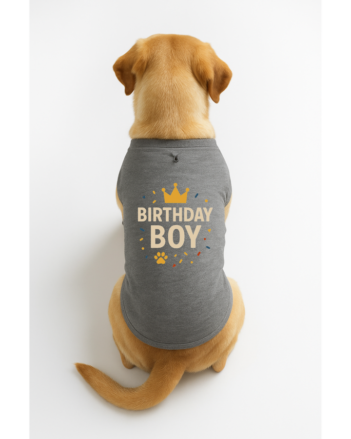 Birthday Boy β Dog Birthday T-Shirt with Crown ππΎ