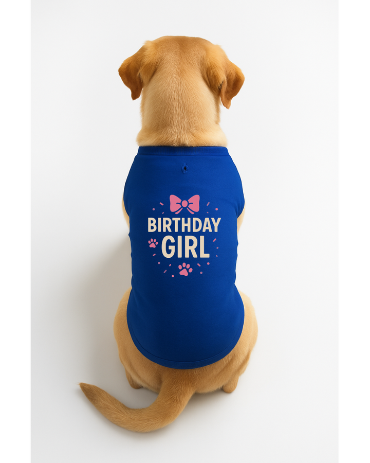 Birthday Girl – Party-Ready Dog T-Shirt with Bow 🎀🐾