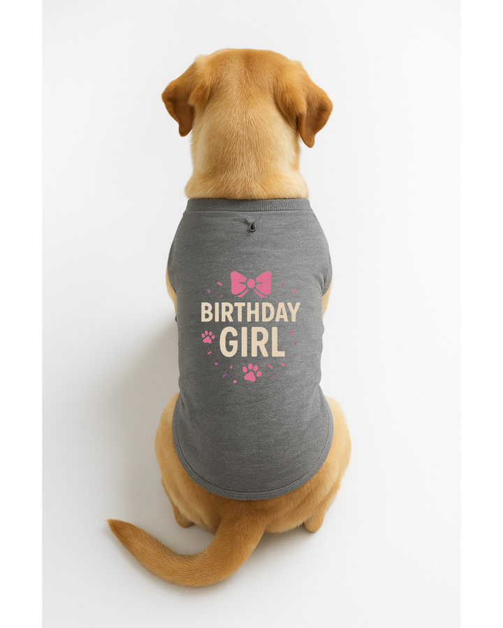 Birthday Girl – Party-Ready Dog T-Shirt with Bow 🎀🐾
