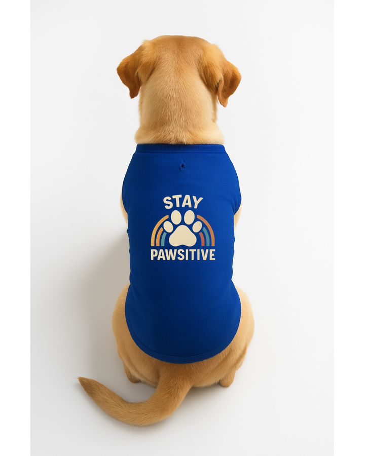 Stay Pawsitive β Motivational Dog T-Shirt πΎπ